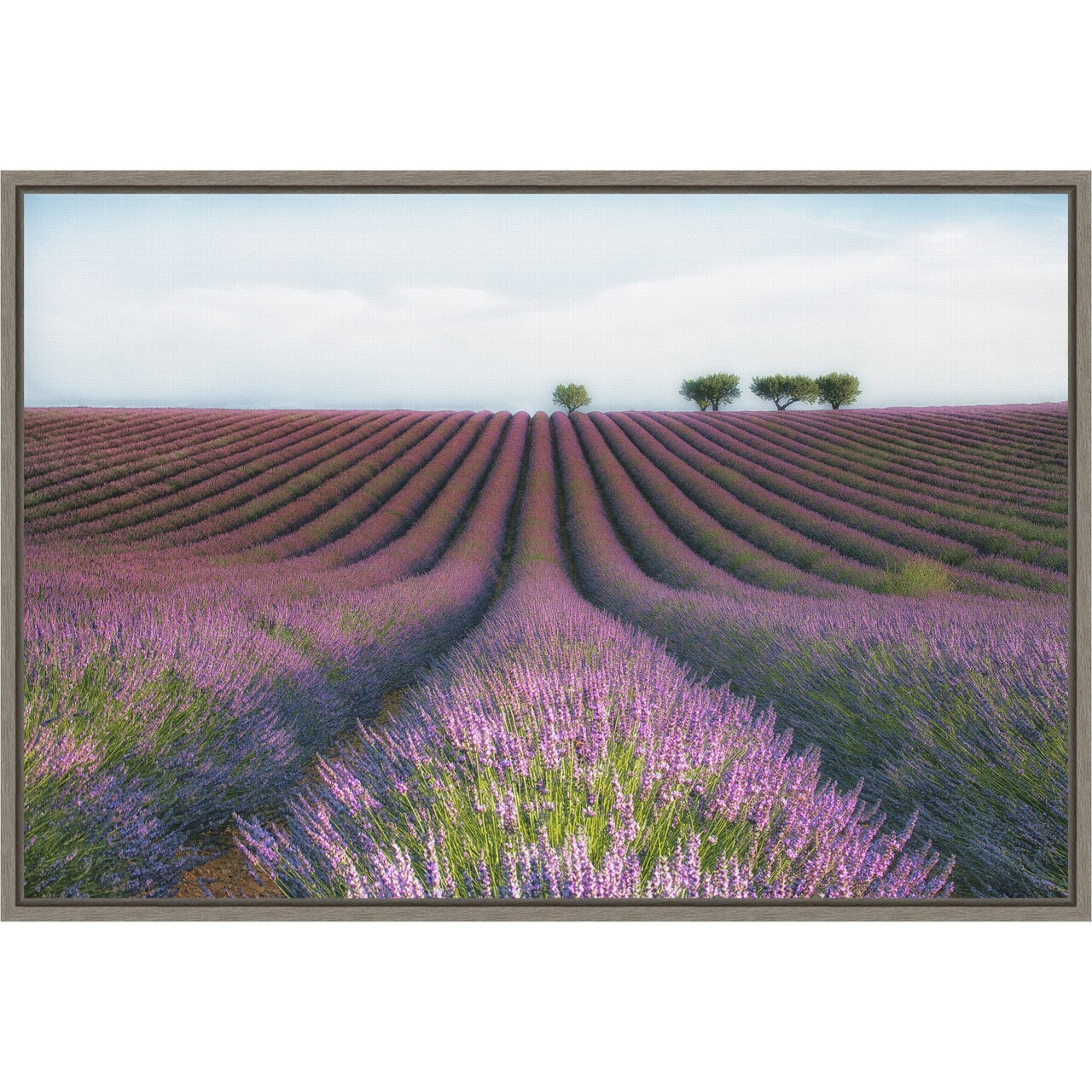 Velours de Lavender by Margarita Chernilova 23-in. W x 16-in. H. Canvas Wall Art Print Framed in Grey